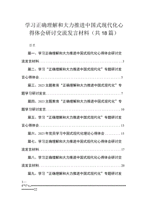 学习正确理解和大力推进中国式现代化心得体会研讨交流发言材料【18篇精选】供参考.docx
