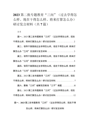 （7篇）2023第二批专题教育“三问”（过去学得怎么样、现在干得怎么样、将来打算怎么办）研讨发言材料.docx