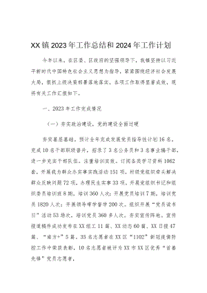 XX镇2023年工作总结和2024年工作计划.docx