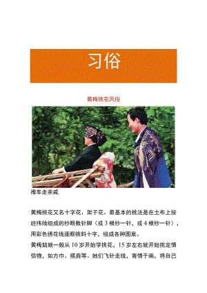 黄梅挑花风俗.docx