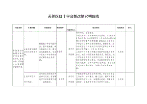 芙蓉区红十字会整改情况明细表.docx