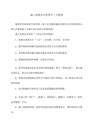 施工现场安全管理中十大准则（2023年）.docx