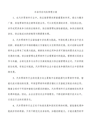 车漆项目风险管理方案.docx