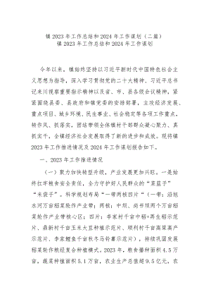 镇2023年工作总结和2024年工作谋划(二篇).docx