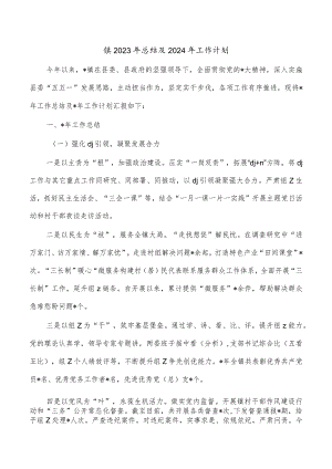 镇2023年总结及2024年工作计划.docx