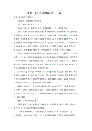 送你一朵小红花的观后感（5篇）.docx