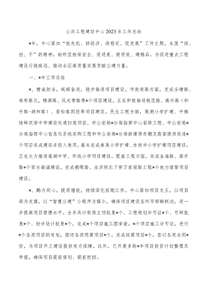 公共工程建设中心2023年工作总结.docx