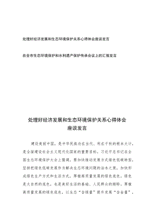 处理好经济发展和生态环境保护关系心得体会座谈发言和在全市生态环境保护和水利遗产保护传承会议上的汇报发言.docx