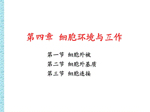 第4章细胞环境与互作.ppt