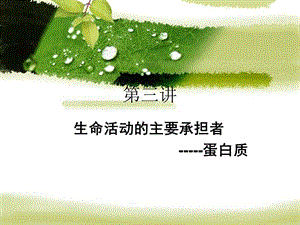 第3讲：蛋白质生命活动的主要承担者2.ppt