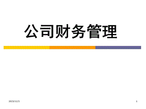 第4章公司融资.ppt