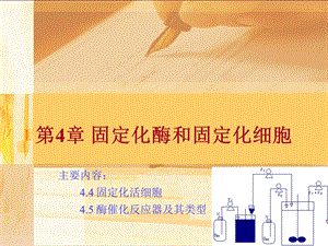 第4章 固定化酶和固定化细胞.ppt