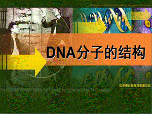 第3章第2节DNA分子结构.ppt