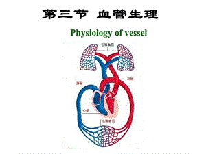 第4章第3节血管生理名师编辑PPT课件.ppt