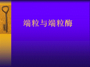 第4章基因重组端粒与端粒酶ppt课件名师编辑PPT课件.ppt