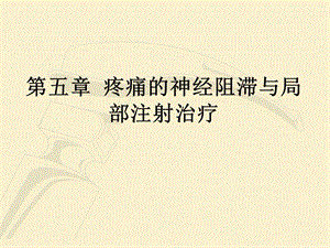 疼痛诊疗学第五章神经阻滞..ppt