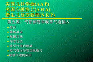 新生儿窒息与复苏气管内插管.ppt