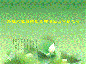 纤维支气管镜检查.ppt.ppt