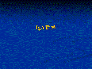 医学资料iga肾病新版.ppt
