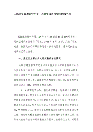 市场监督管理局党组关于巡察整改进展情况的报告范文.docx
