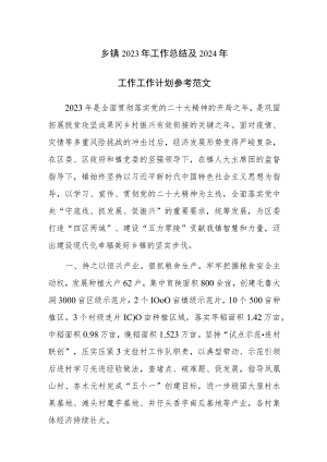 乡镇2023年工作总结及2024年工作工作计划参考范文.docx