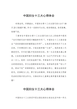 (十二篇)妇联干部学习中国妇女第十三次全国代表大会精神心得体会.docx