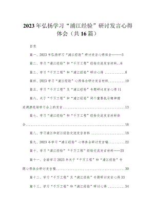 2023年弘扬学习“浦江经验”研讨发言心得体会（共16篇）.docx
