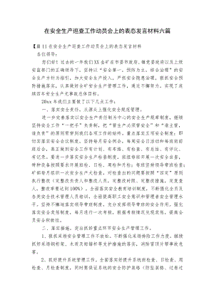 在安全生产巡查工作动员会上的表态发言材料六篇.docx