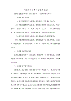主题教育自查评估报告范文.docx