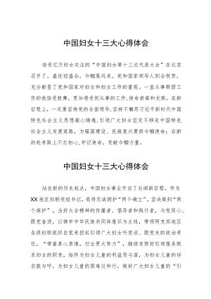 关于中国妇女十三大精神的学习体会十六篇.docx