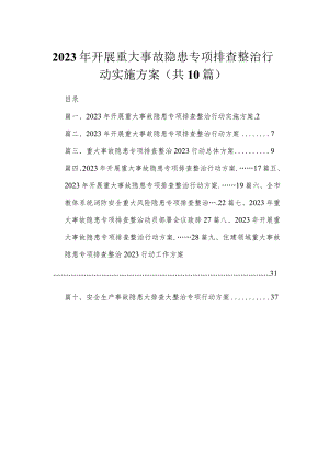 2023年开展重大事故隐患专项排查整治行动实施方案最新精选版【10篇】.docx
