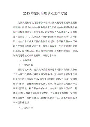 2023年空间治理试点工作方案.docx