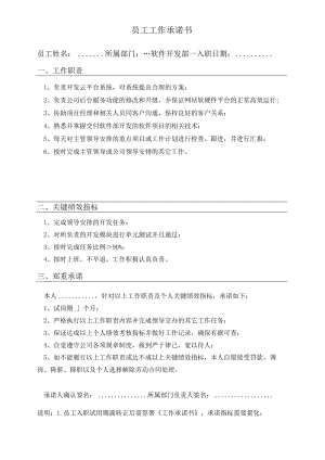 软件开发人员工作承诺书.docx