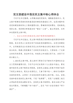 党支部建设中落实民主集中制心得体会.docx