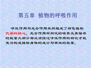 第5章呼吸作用.ppt