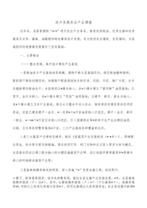 连片发展农业产业调查.docx