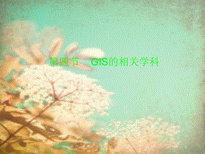 第4节GIS的相关学科.ppt