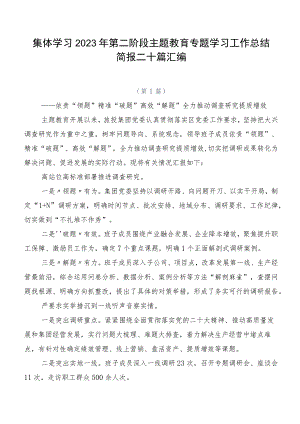 集体学习2023年第二阶段主题教育专题学习工作总结简报二十篇汇编.docx