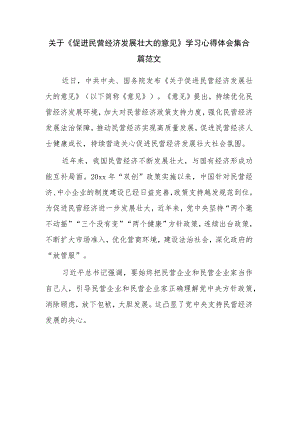 关于《促进民营经济发展壮大的意见》学习心得体会集合篇范文.docx
