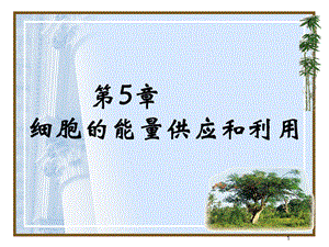第5章细胞的能量供应和利用名师编辑PPT课件.ppt