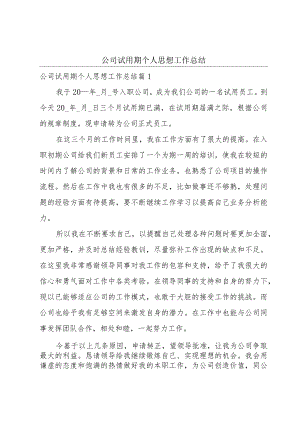 公司试用期个人思想工作总结.docx