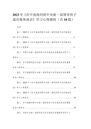 2023年《在中南海同团中央新一届领导班子成员集体谈话》学习心得感悟范文【10篇精选】供参考.docx