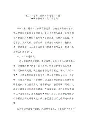 2023年驻村工作队工作总结(二篇).docx