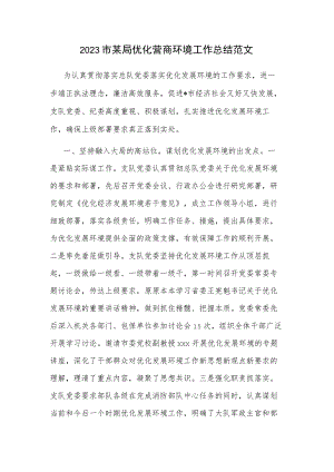 2023市某局优化营商环境工作总结范文.docx
