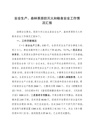 安全生产、森林草原防灭火和粮食安全工作情况汇报.docx