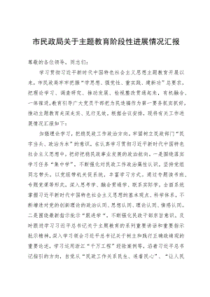 市民政局关于主题教育阶段性进展情况汇报.docx