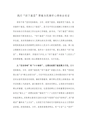 践行“四下基层”厚植为民情怀心得体会发言.docx