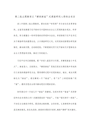 第二批主题教育以“解剖麻雀”式调查研究心得体会发言.docx