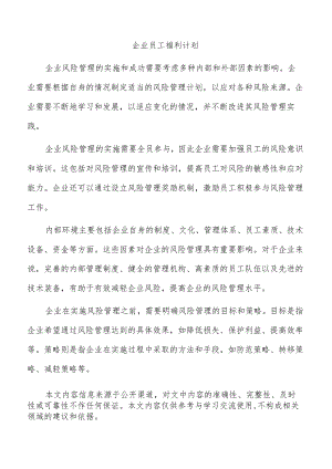 企业员工福利计划.docx
