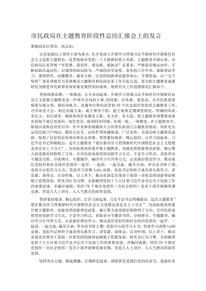市民政局在主题教育阶段性总结汇报会上的发言.docx